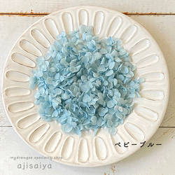 各種造型！合理的產品[Anabel / Petal：Baby Blue] &lt;繡球花繡球花繡球花&gt; 第1張的照片