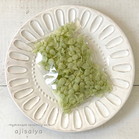 各種造型！合理的產品[Anabel / Petal：Clear Green] &lt;繡球花繡球花繡球花&gt; 第3張的照片