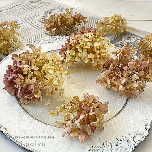 秋色みなづきピックス あじさい小輪パック ドライフラワー ＜アジサイ