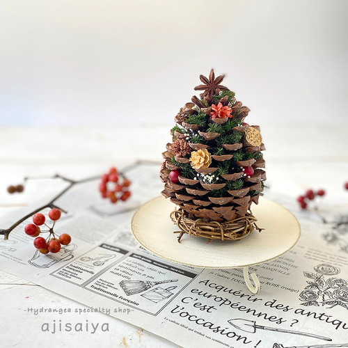 巨大まつぼっくり マリティマコーン ナチュラル 1個 【木の実】 その他