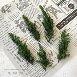 ヒムロスギ　グリーン　【プリザーブドフラワー】 2枚目の画像