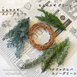 ヒムロスギ　グリーン　【プリザーブドフラワー】 6枚目の画像