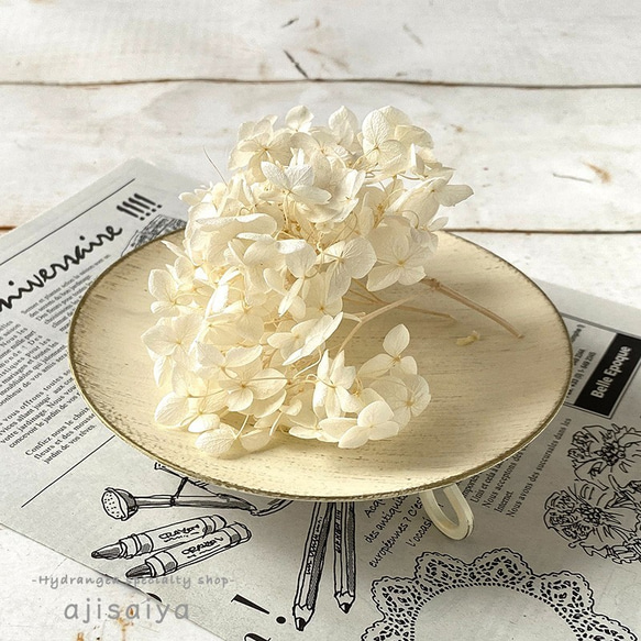 アナベル　オフホワイト　プリザーブドフラワー　 ＜ アジサイ 紫陽花 ＞ 1枚目の画像