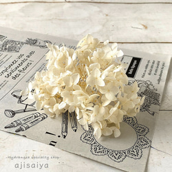 アナベル　オフホワイト　プリザーブドフラワー　 ＜ アジサイ 紫陽花 ＞ 2枚目の画像