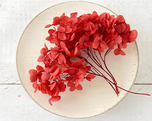 枝付きアナベル レッド プリザーブドフラワー ＜ アジサイ 紫陽花