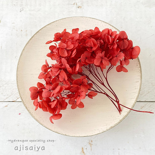 枝付きアナベル レッド プリザーブドフラワー ＜ アジサイ 紫陽花