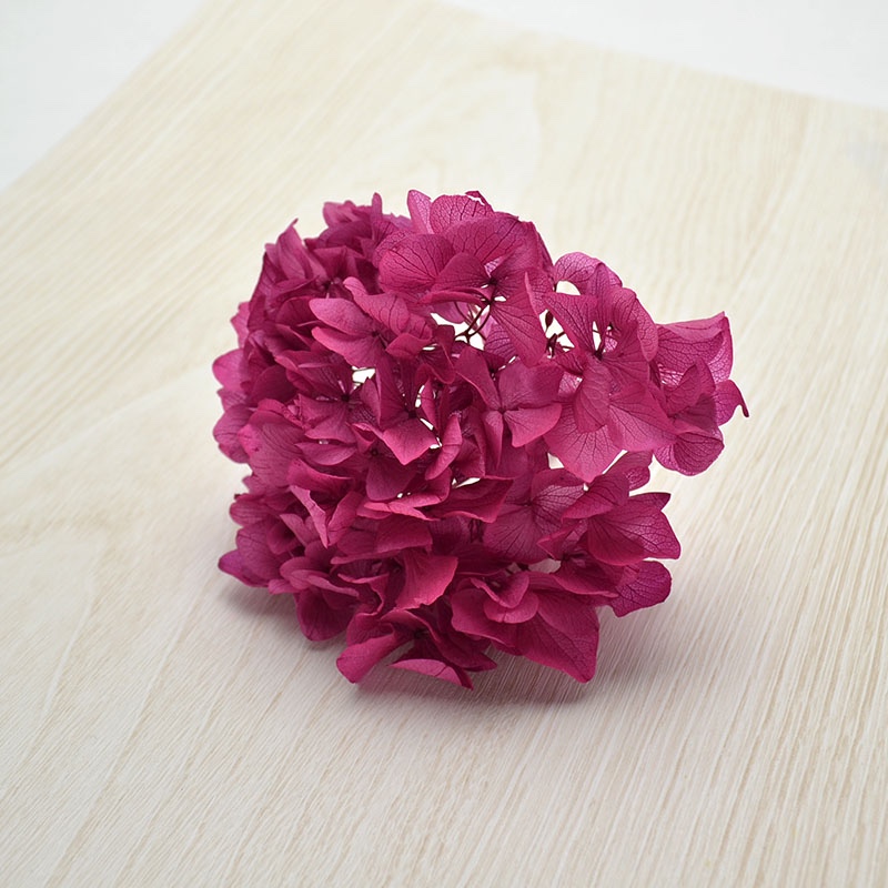 花材 みちのく あじさいや 新品 12箱 まとめ売り