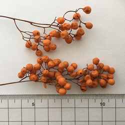 ペッパーベリー（オレンジ）プリザーブドフラワー 2枚目の画像