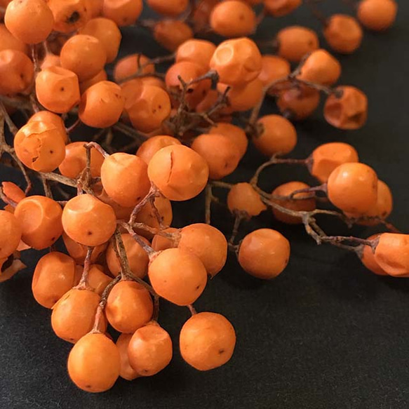 ペッパーベリー（オレンジ）プリザーブドフラワー 3枚目の画像