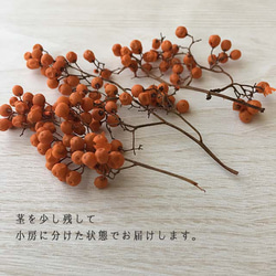 ペッパーベリー（オレンジ）プリザーブドフラワー 4枚目の画像