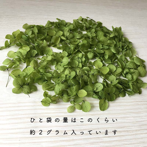 各種造型！合理的產品[Anabel Moss Green] Michinoku Hydrangea 第3張的照片