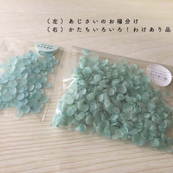 各種造型！ Wakaari Product [Annabelle 淡藍色] Michinoku 繡球花 第2張的照片