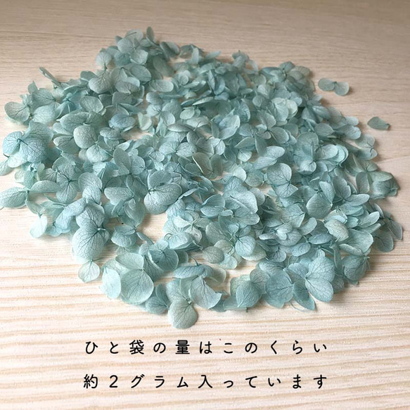 各種造型！ Wakaari Product [Annabelle 淡藍色] Michinoku 繡球花 第3張的照片