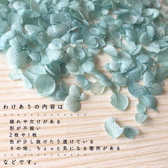 各種造型！ Wakaari Product [Annabelle 淡藍色] Michinoku 繡球花 第4張的照片