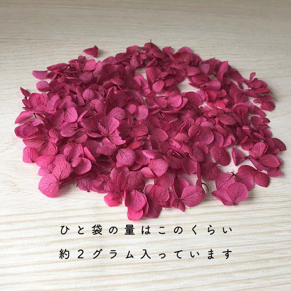 各種造型！合理的產品[Anabel Raspberry] Michinoku Hydrangea 第3張的照片