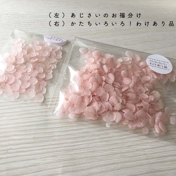 各種造型！合理的產品[Anabel Baby Pink] Michinoku Hydrangea 第2張的照片