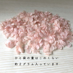 各種造型！合理的產品[Anabel Baby Pink] Michinoku Hydrangea 第3張的照片