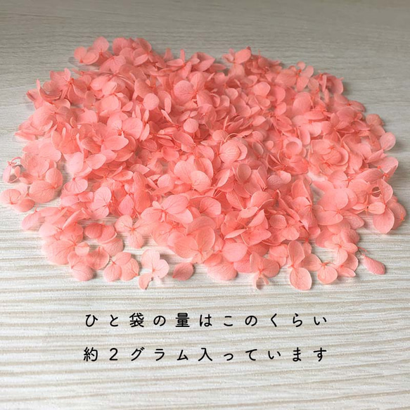 各種造型！合理的產品[Anabel Flamingo] Michinoku Hydrangea 第3張的照片