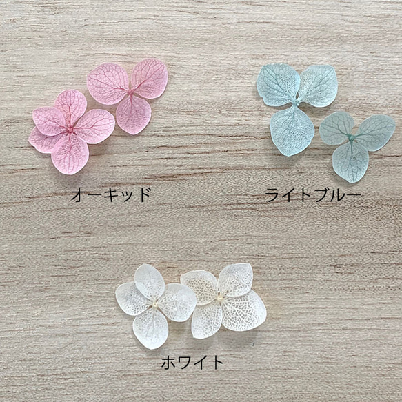繡球花瓣[30種國產Annabelle嬰兒混合物]繡球占卜的Michinoku繡球 第4張的照片