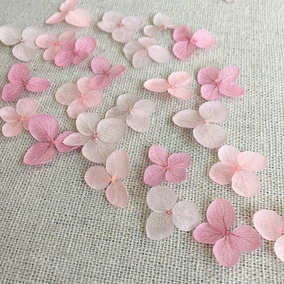 あじさい 花びら【国産 アナベル・さくらmix 30枚】あじさいのお福分け