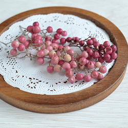 ドライフラワー❣️ナチュラルピンクペッパーベリー ナチュラル ドライフラワー ピンク ペッパーベリー 40g 花材