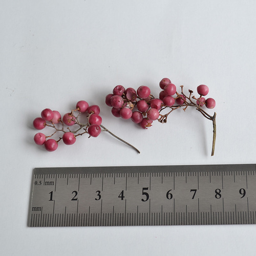 ペッパーベリー（ピンク）ドライフラワー その他素材 ちいさなあじさい