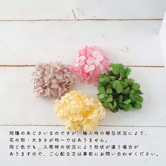 再入荷！　Gracias! あじさい・ヘーゼルナッツ【 プリザーブドフラワー】グラシアスあじさい〈アジサイ　紫陽花〉 2枚目の画像