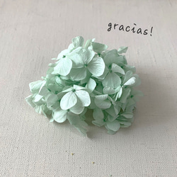 Gracias! あじさい・ミントグリーン【 プリザーブドフラワー
