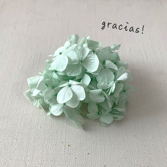 Gracias! あじさい・ミントグリーン【 プリザーブドフラワー