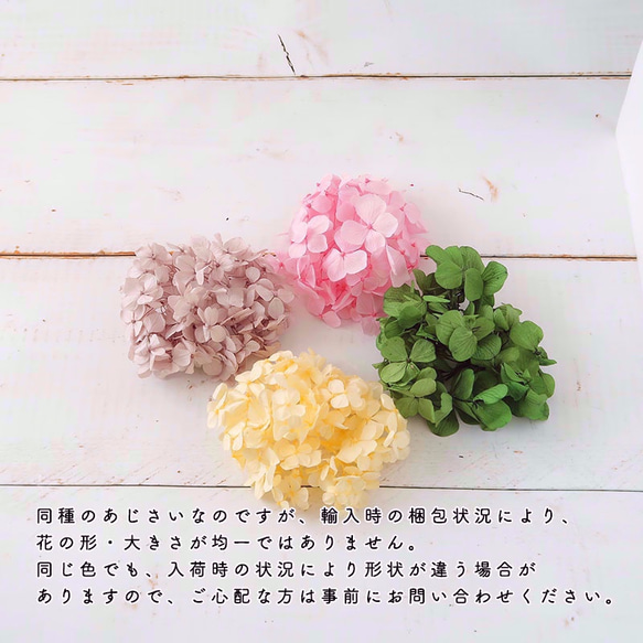 再入荷！　Gracias! あじさい・ワイン【 プリザーブドフラワー】グラシアスあじさい〈アジサイ　紫陽花〉 2枚目の画像