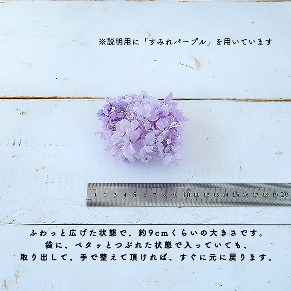 ピラミッドあじさい　こわけ　グラデーション系　【 OH!あじさい 】 プリザーブドフラワー　紫陽 5枚目の画像