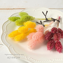 春季粉彩花卉材料馬斯喀特綠&lt;孔植物&gt;彩色乾花 第4張的照片