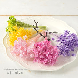 春のパステル花材　ブライダルピンク　＜スターフラワーミニ＞　カラードライフラワー 4枚目の画像