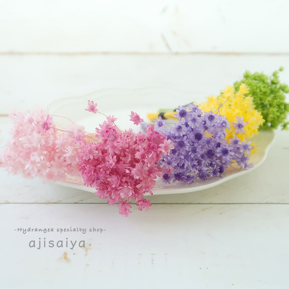 春のパステル花材　ブライダルピンク　＜スターフラワーミニ＞　カラードライフラワー 5枚目の画像