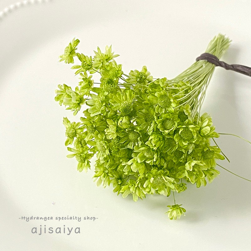 ドライフラワーアンティークグリーンオーダーチップ ドライフラワーアンティークグリーンオーダーチップ ドライフラワー