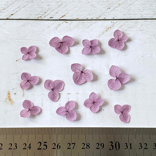 アナベル　あじさい花びら あじさい 花びら【国産 アナベル・パープル 30枚】あじさいの