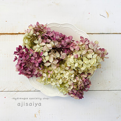 紫陽花ドライフラワー J2 120サイズ 北海道産 作家様向け 0_e06d6018fc10518cb9e6dbfa3a13