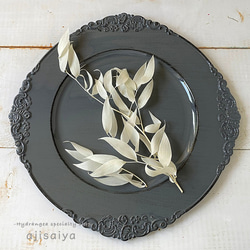 新品未使用⭐️限定品❣️純銀製銀貨✨庭猫 フィジー1オンスカラー版 本物❤️新品未使用⭐️限定品❣️純銀製銀貨✨庭猫 フィジー1オンス