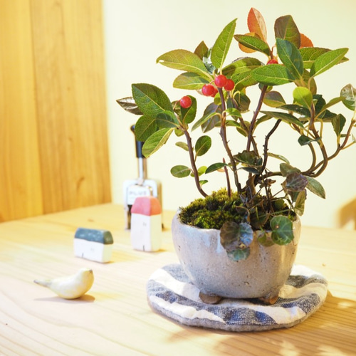 ヤマグチコウジ作　花器及びオーナメント ヤマグチコウジ作 花器及びオーナメント