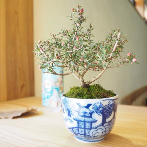 工芸盆栽 梅 盆栽 アートフラワー 造花 梅の花 盆栽 BONSAI 置物 日本