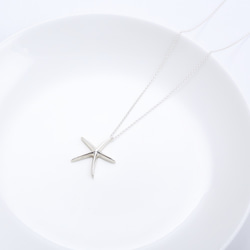 海洋 海星 starfish s925 純銀 項鍊 生日 情人節 聖誕節 禮物 第3張的照片