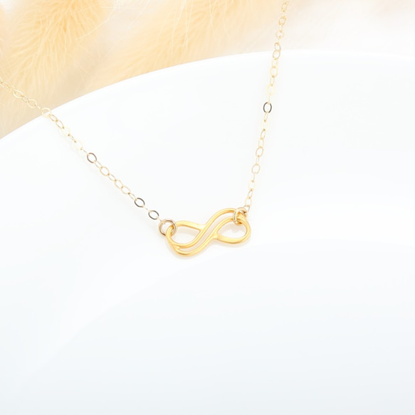 相愛 無限 Love Infinity 　シルバーs925  K24ゴールドメッキ  ネックレス　誕生日プレゼント　バレ 3枚目の画像