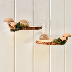 「受注製作」(右から）キノコ付き　木製 飾り棚 ミニ 8枚目の画像