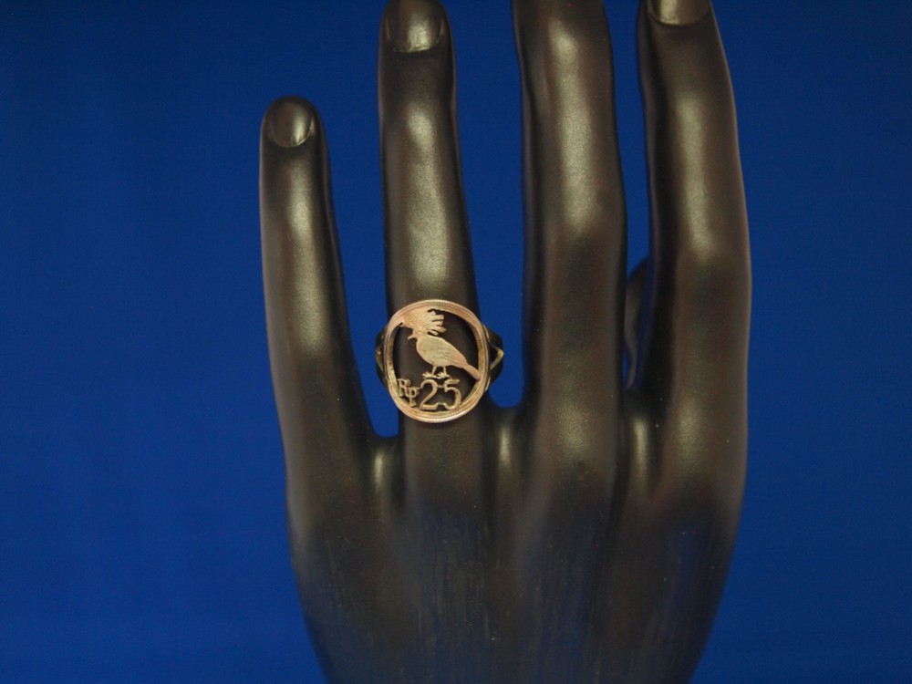 コインカットリング インドネシア25ルピア