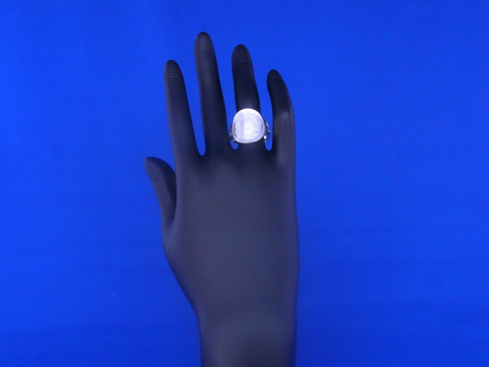 日本二十銭　コインサイズリング