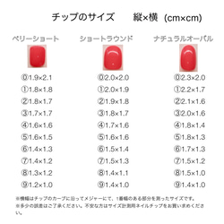 006* シンプルレースネイル 4枚目の画像