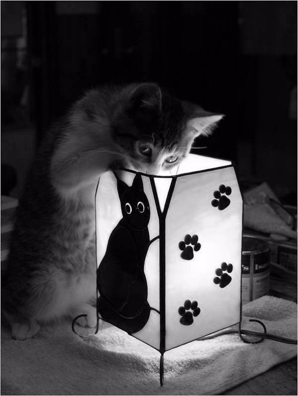 目が光る猫のランプ(ピンク黒猫) 532 7枚目の画像