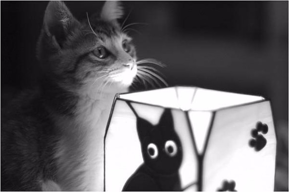 目が光る猫のランプ(ベージュ白猫) 484 4枚目の画像