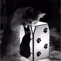 目が光る猫のランプ(ベージュ白猫) 484 5枚目の画像