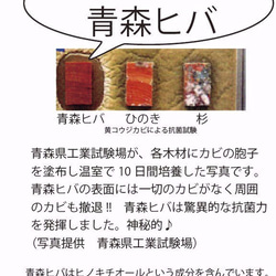 削り直し無料　カビに強い 青森ヒバのまな板45cm  一枚板 2枚目の画像